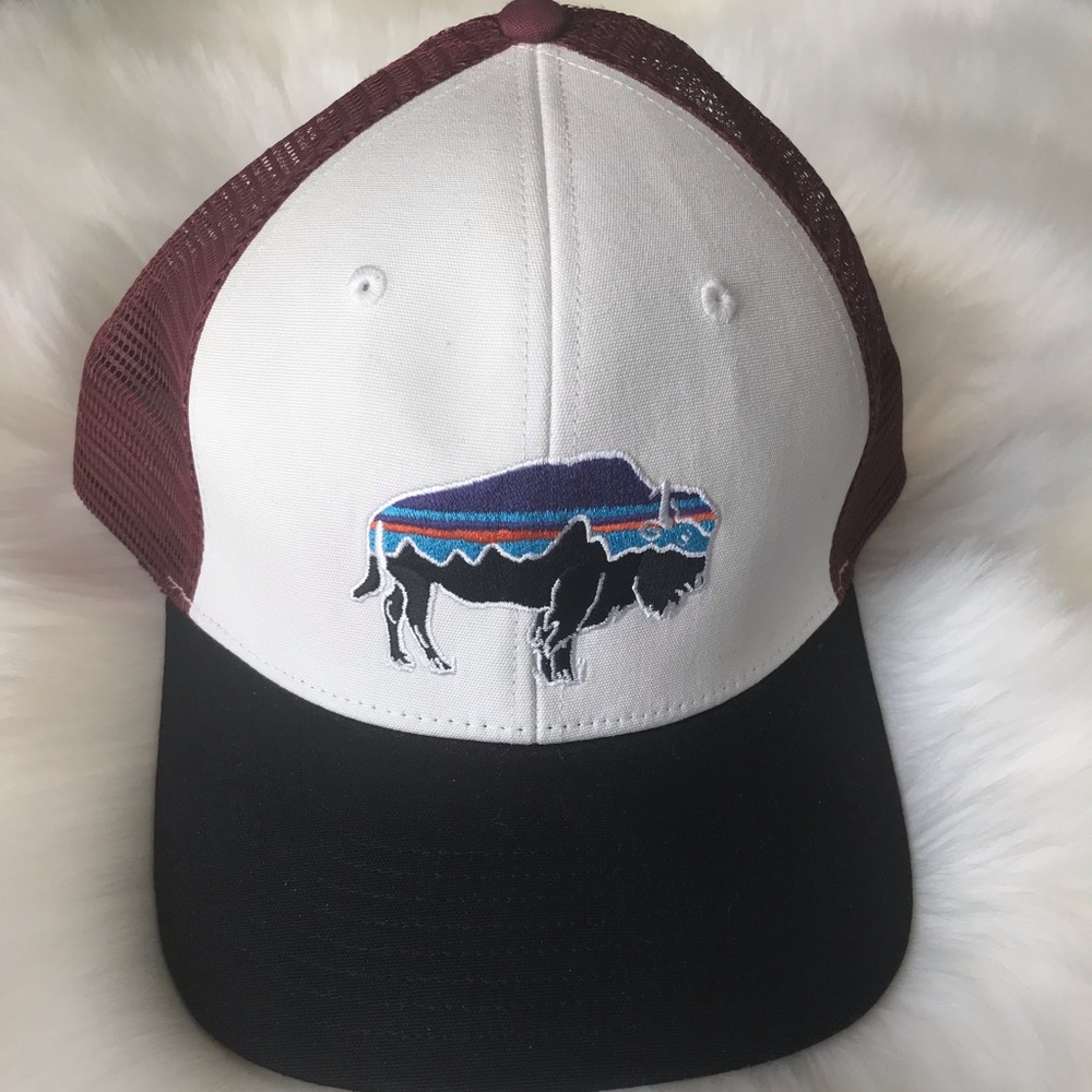 Patagonia Fitz Roy Buffalo Trucker Hat